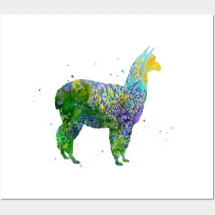 Alpaca Posters and Art